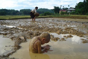 Bức ảnh con chờ mẹ làm đồng lay động cộng đồng mạng