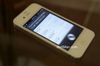 Siri: Kẻ khơi mào cuộc chiến với Google và Microsoft