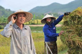 Người tiêu dùng lúng túng trước quá nhiều gói cước điện thoại