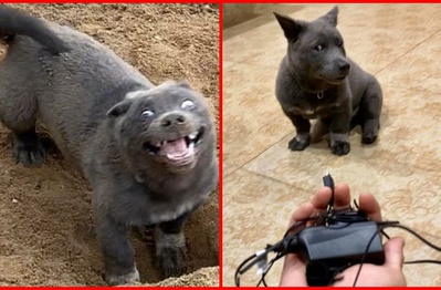 Idol Nguyễn Văn Dúi trưng bộ mặt "nghiêm túc" sau màn phá hoại như thể: "Tôi không liên quan"