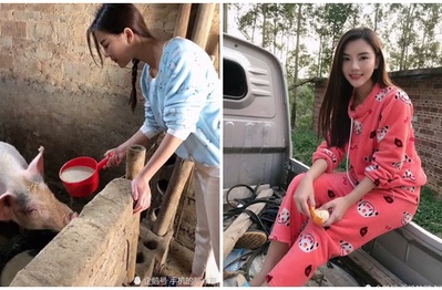 Khoe nhẹ bức ảnh đang cho lợn ăn, nàng hot girl nhận cả rổ gạch đá từ phía cộng đồng mạng