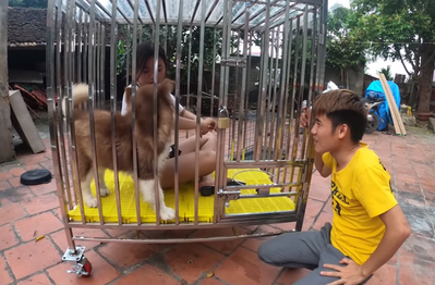 Nhốt em gái vào chuồng chó, con trai bà Tân Vlog lại gây nên những tranh cãi không hồi kết