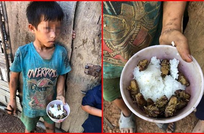 Bát cơm đầy ve sầu của cậu học trò nghèo vùng cao khiến dân mạng bùi ngùi, thương cảm