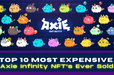 Top 10 vật phẩm Axie Infinity đắt nhất từng được bán (P.1)