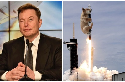 Elon Musk lại "làm phép" trên trang cá nhân, một đồng coin tăng giá tới hơn 1.000% chỉ trong ít giờ