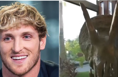 YouTuber nổi tiếng chơi trội, bỏ 12 tỷ mua hộp sọ khủng long 66 triệu năm tuổi về trưng bày