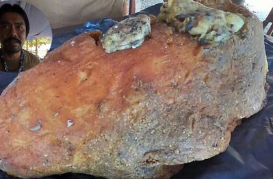 Những cục phân đắt giá nhất thế giới, viên 80kg trị giá 3 triệu USD