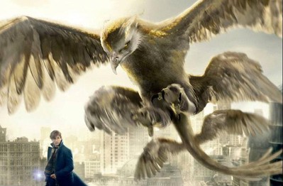 Khám phá huyền thoại Chim Sấm - 1 trong những sinh vật huyền bí đẹp nhất giới phù thủy