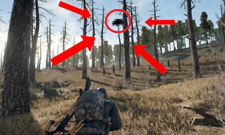 Giơ "scope" lên ngắm, game thủ nhìn thấy thứ động trời và bí ẩn không thể giải đáp
