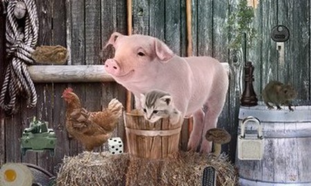 Danh sách game mobile miễn phí, giảm giá trong ngày 06/04