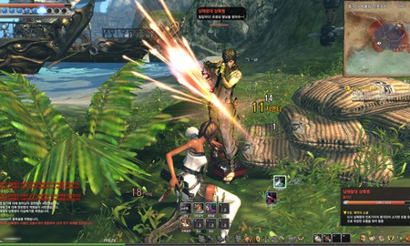 Muốn chơi Blade and Soul tại Việt Nam, hãy cùng ký tên ủng hộ ngay