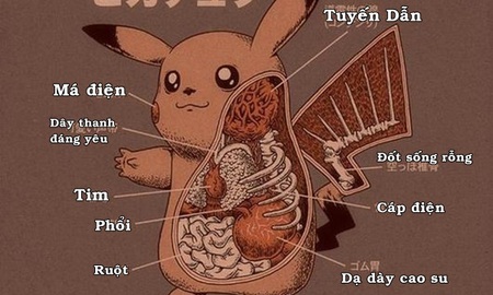 Soi thấu tim gan Pokemon theo đúng nghĩa đen