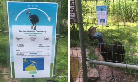 Pokemon GO hot đến nỗi một sở thú tại Mỹ cũng tìm cách "ăn theo"