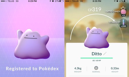 Đây rồi, cuối cùng Ditto trong Pokemon GO đã bị tóm gọn