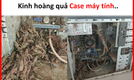 3 năm không dọn vệ sinh cho Case máy tính, thanh niên suýt ngất khi mở ra toàn thấy gián, dế, chuột