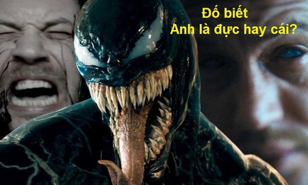Khám phá bí ẩn về giới tính của Symbiotes: Venom là giống đực hay cái?