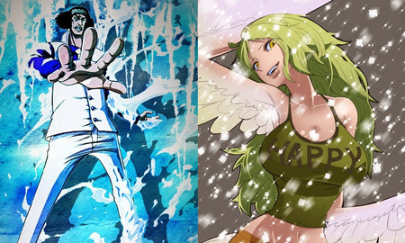 Khi chủ nhân của các trái ác quỷ có năng lực giống nhau đối đầu thì sẽ như thế nào?