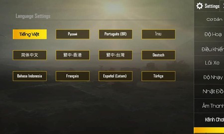 Tự tiện làm file Việt hoá, game thủ PUBG Mobile bị khoá account 10 năm