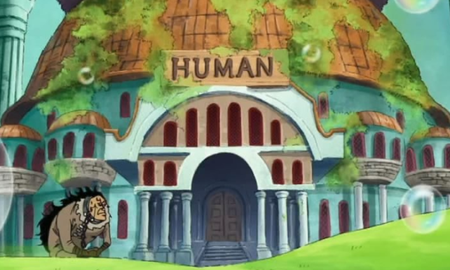 Các bạn có biết bảng giá của Nhà bán đấu giá nô lệ trong One Piece là bao nhiêu không?