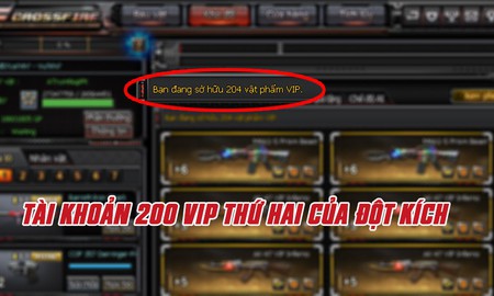 Đột Kích lại xuất hiện thêm đại gia thứ 2 sở hữu hơn 200 vật phẩm VIP