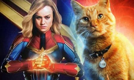 8 sự thật thú vị về Goose, Đại Boss trong Captain Marvel khiến siêu anh hùng mạnh nhất vũ trụ cũng phải chịu kiếp "con sen"