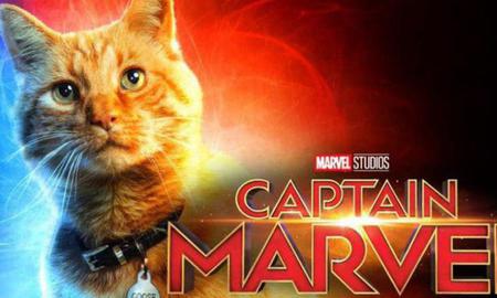 Các fan xôn xao đề nghị làm hẳn phần phim riêng cho "boss mèo" của Captain Marvel