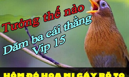 Chết cười giải đấu chiến thuật: Toàn các Vip gáy "khét lèn lẹt”, chưa kịp khô mồm đã bị "nghiệp quật" cho bay màu từ vòng bảng