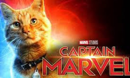 "Boss mèo" Goose chính là chìa khóa "bí mật" giải cứu vũ trụ khỏi ác nhân Thanos?
