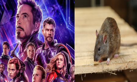 Đạo diễn Marvel giải thích những vấn đề "hack não" nhất trong Endgame, hóa ra loài chuột mới chính là cứu tinh của vũ trụ