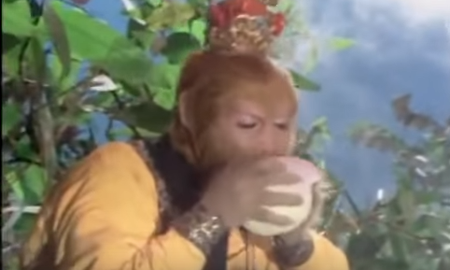 Đào tiên, nhân sâm trong thế giới Tây Du Ký lấy hình mẫu từ đâu mà ra?