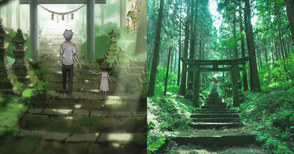 Vẻ đẹp đầy ma mị của khu rừng Nhật cổ đại, bối cảnh phim anime "Princess  Mononoke" - WOM JAPAN
