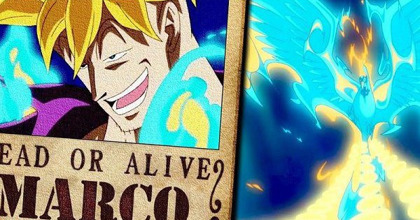 99 hình xăm One Piece siêu đẹp cho nam và nữ  Thẩm mỹ Thu Cúc