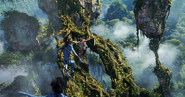 Porno video tanlash korish